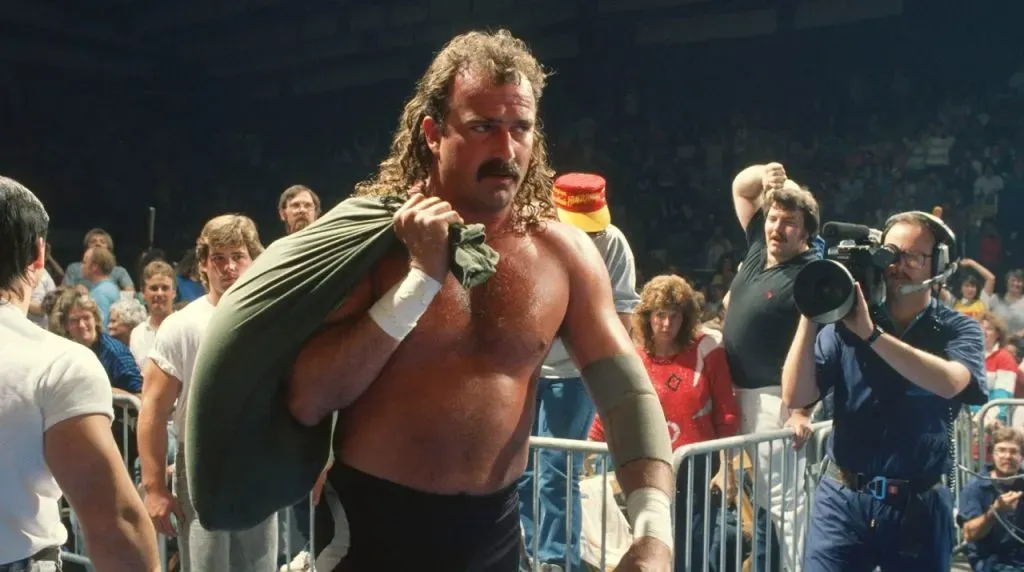 Jake The Snake Roberts (WWE)