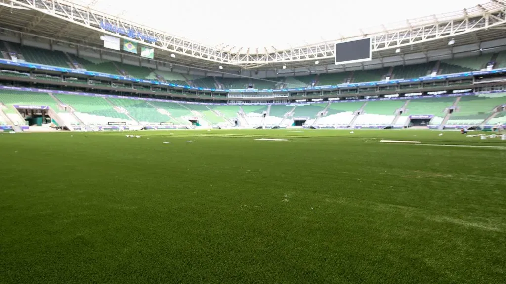 Diniz criticou o gramado sintético do Palmeiras. Foto: César Greco- Flickr oficial Palmeiras