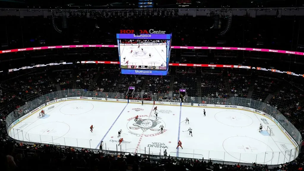 Honda Center (Source: Ronald Martinez/Getty Images)