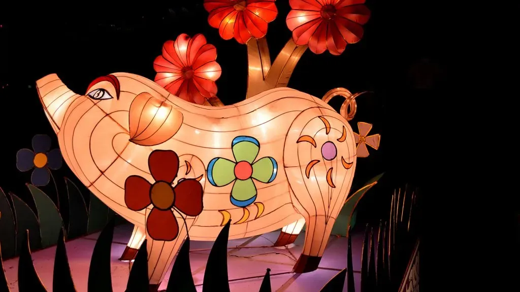 Year of the Dragon: Chinese Zodiac Predictions for 2024 - Spoiler US
