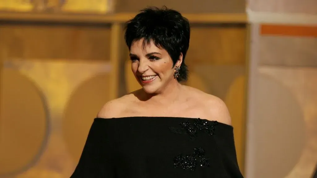 Liza Minelli (Kevin Winter/Getty Images))