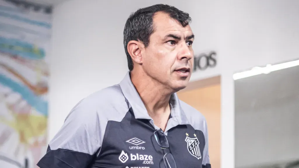 Carille ganhou nova opção no Santos (Foto: Raul Baretta/ Santos FC/ Divulgação)
