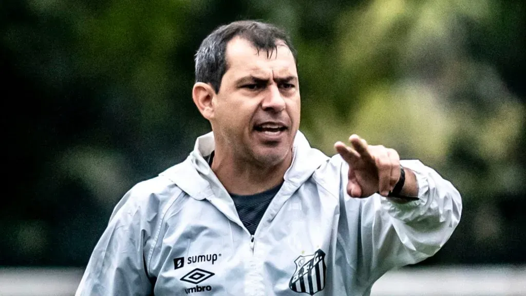 Carille pediu reforços no Peixe (Foto: Ivan Storti/Santos FC/Divulgação)
