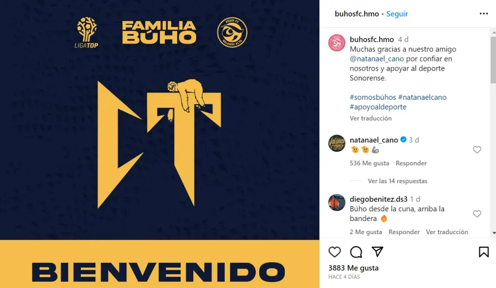 Instagram Búhos