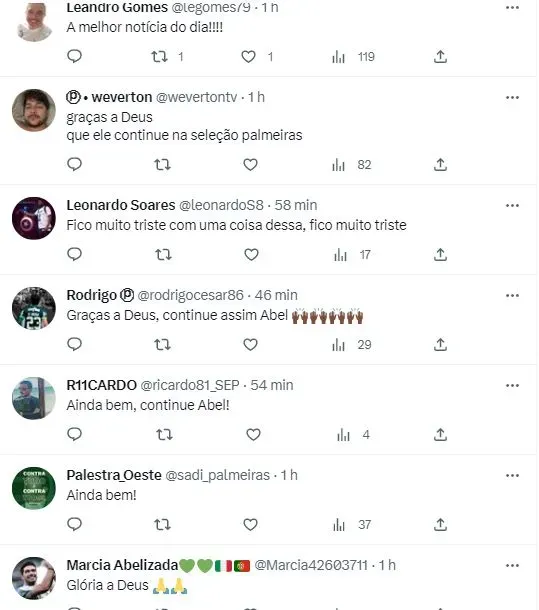 Comentários da torcida do Palmeiras sobre a informação de Renato Maurício Prado