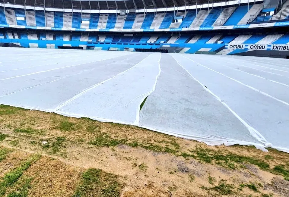 Así luce el césped del Cilindro de Avellaneda.