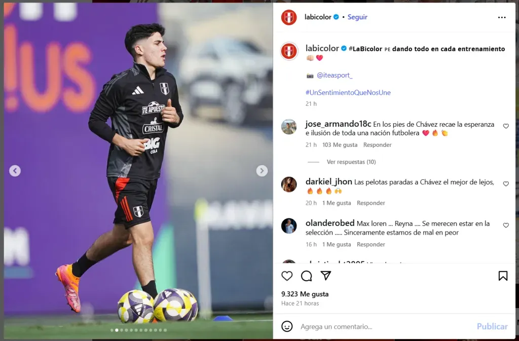 Hinchas de la Selección Peruana comentando sobre Felipe Chávez. (Foto: Instagram Bicolor)
