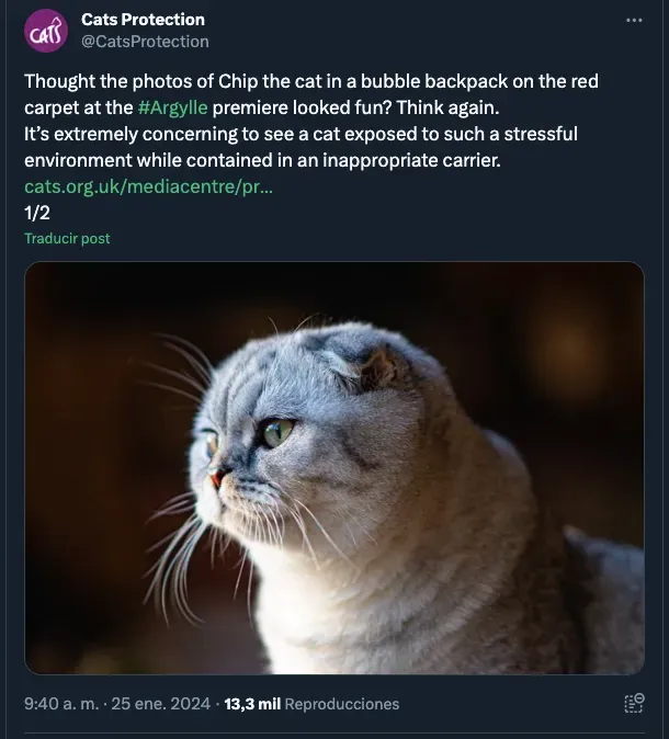 El tuit de Cat’s Protection.