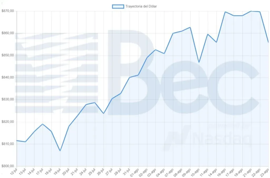 Así ha variado el precio del dólar en el último mes según la Bolsa Electrónica de Chile.