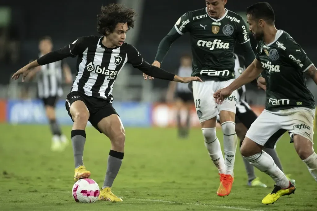 Foto: Jorge Rodrigues/AGIF – Botafogo e Palmeiras são os primeiros colocados do Brasileirão