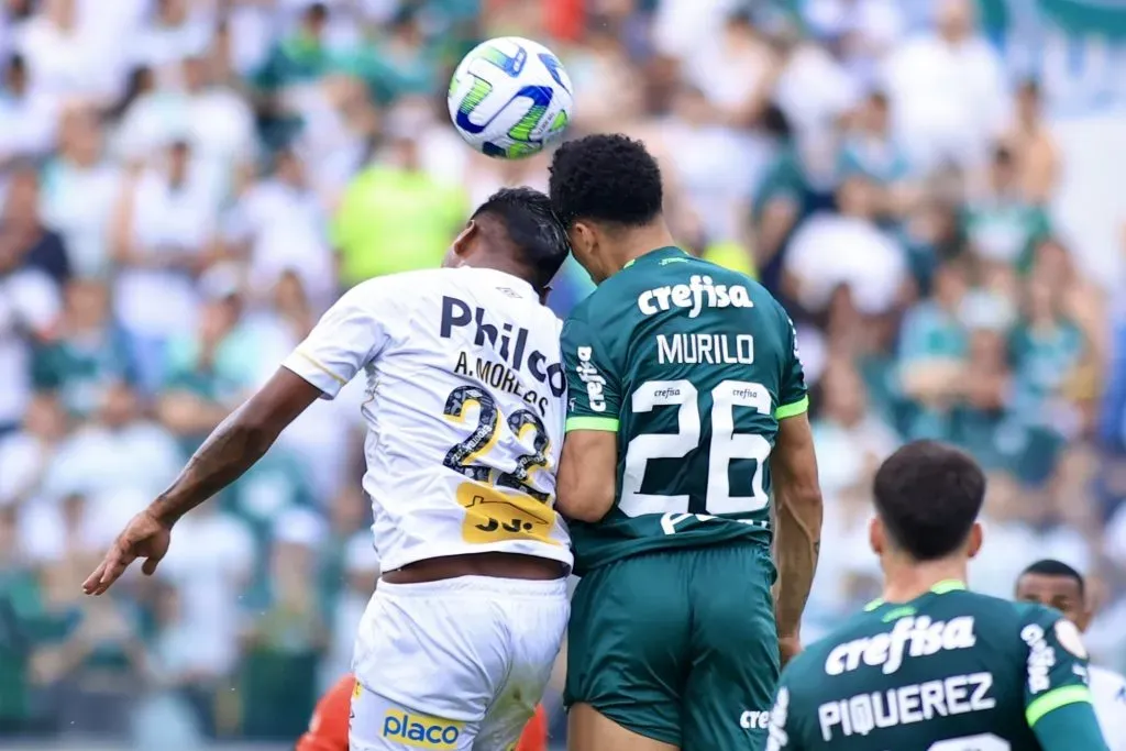 Alfredo Morelos em disputa de bola em jogo do Santos contra o Palmeiras. Foto: Marcello Zambrana/AGIF