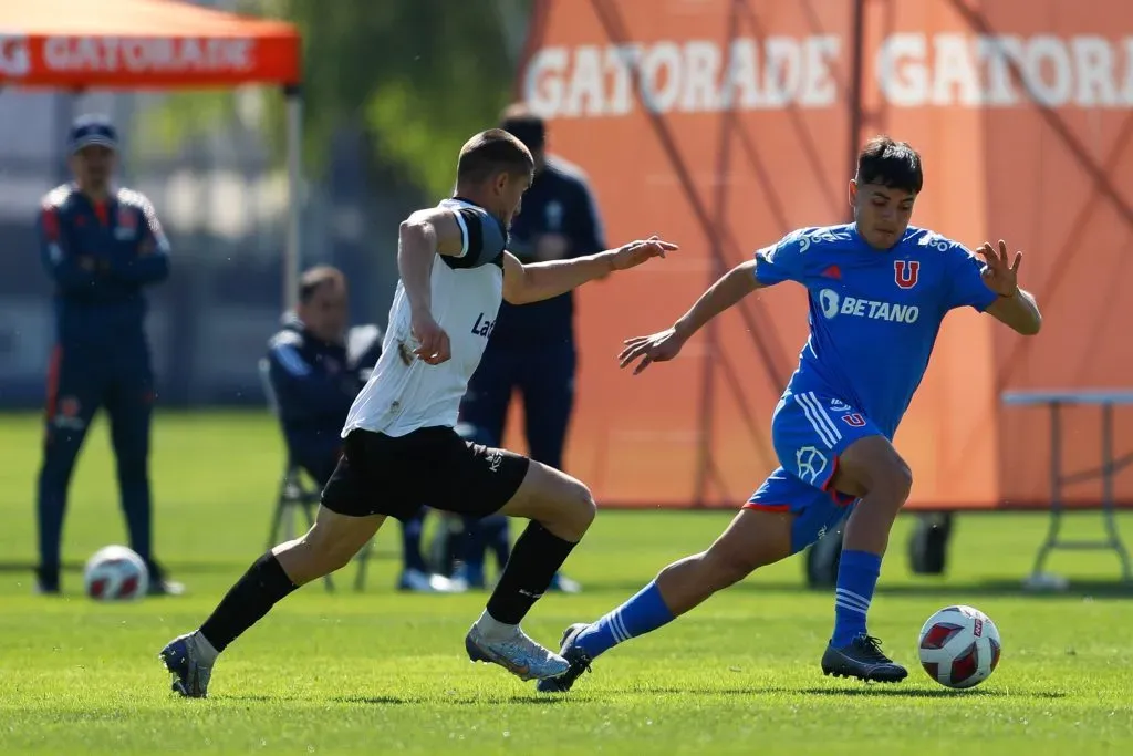 Foto: U. de Chile.