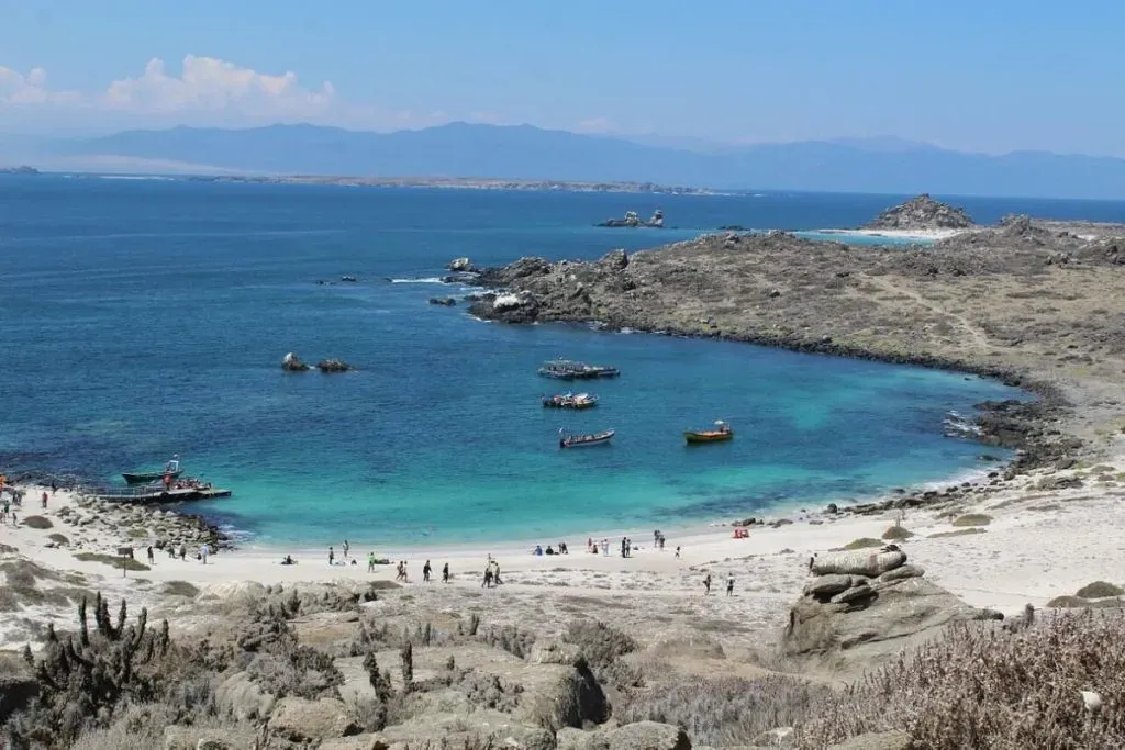 Una de las playas de Punta de Choros. Imagen: Tripadvisor