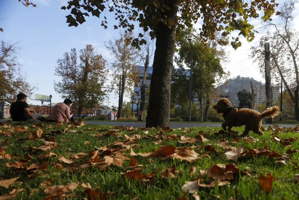 Comenzó el otoño en Chile (Aton Chile)