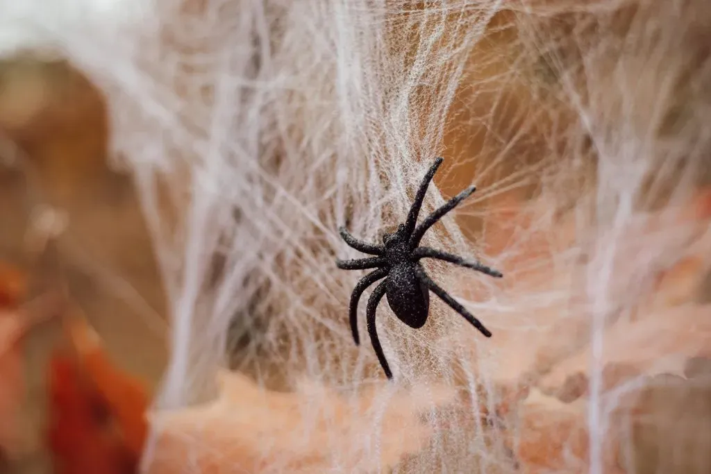 Araña de miedo | Foto: Imago