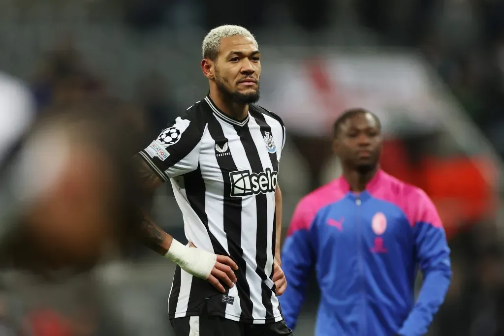 Joelinton of Newcastle United  (Photo by Michael Steele/Getty Images)