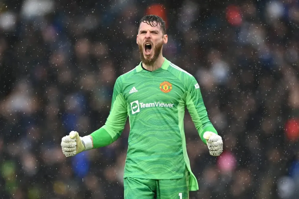 David De Gea pelo Manchester United. (Photo by Shaun Botterill/Getty Images)