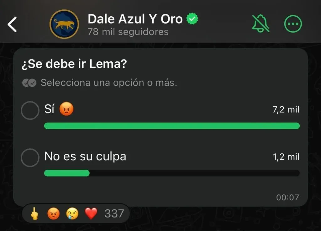 La votación acerca de la continuidad de Lema. (Captura de pantalla de Whatsapp)