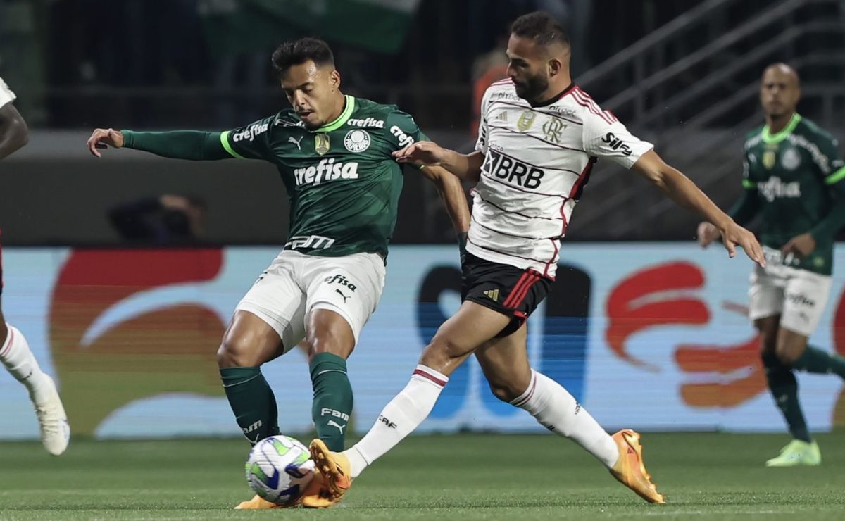 Palpite Flamengo x Palmeiras: 08/11/2023 - Brasileirão Série A