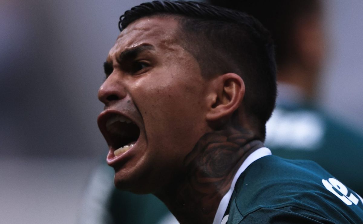 Dudu Agradece Cruzeiro e Garante Permanência no Palmeiras