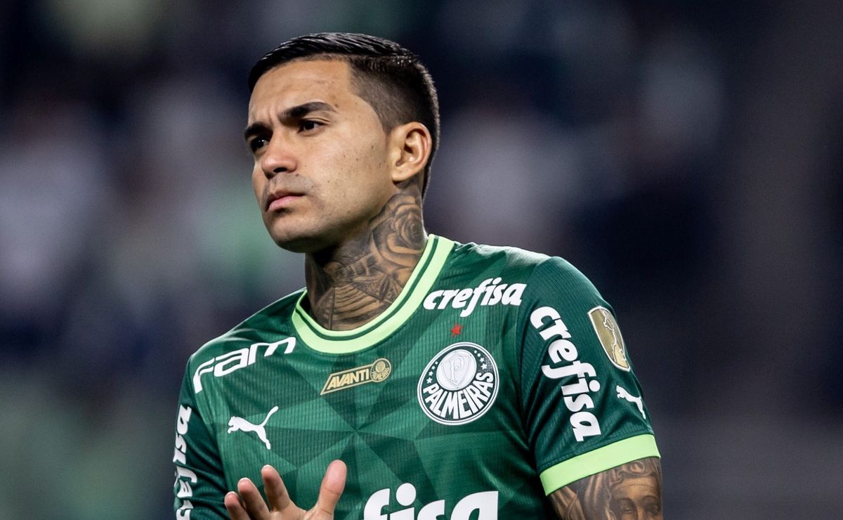Opiniões Divididas da Torcida do Palmeiras Sobre Atitude Contra Dudu Após Dérbi