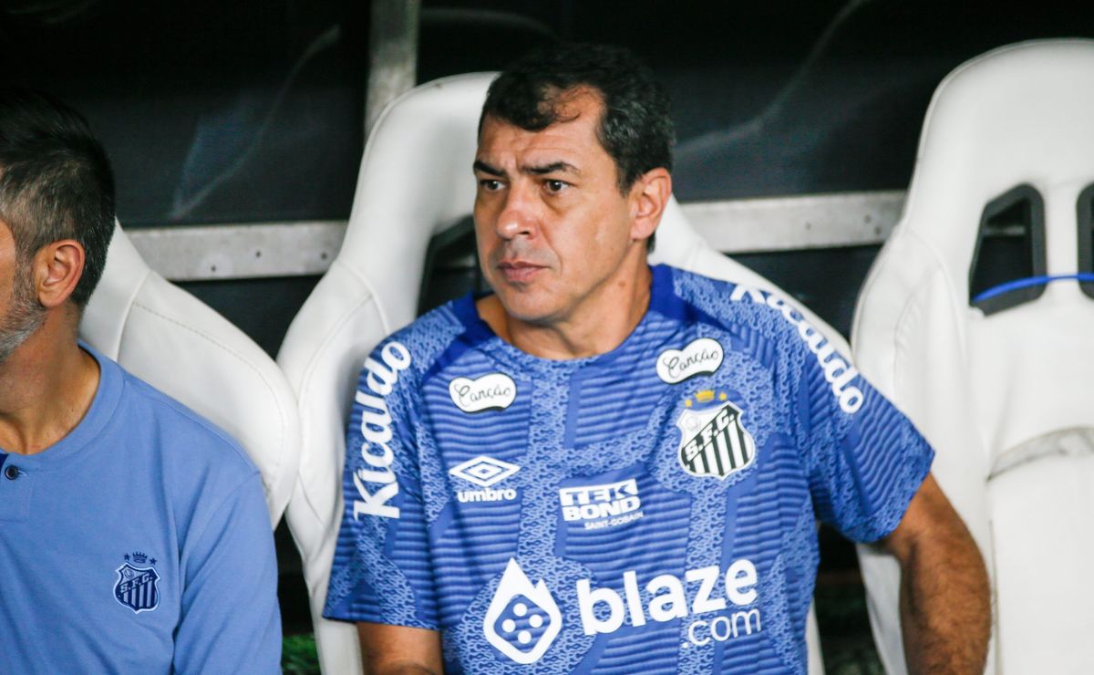 Técnico do Santos quer João Schmidt caso acerte com o Corinthians