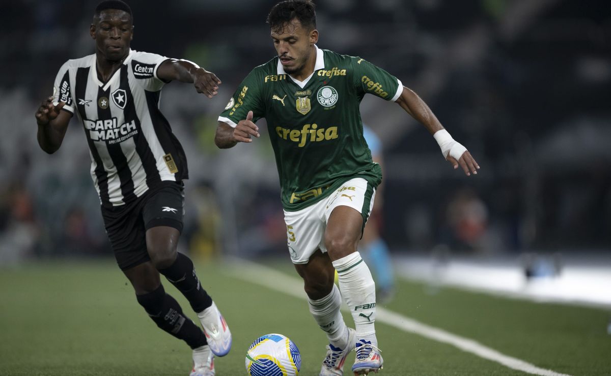 Árbitro de Botafogo x Palmeiras Afastado pela Conmebol Após Erro Grave na Partida.
