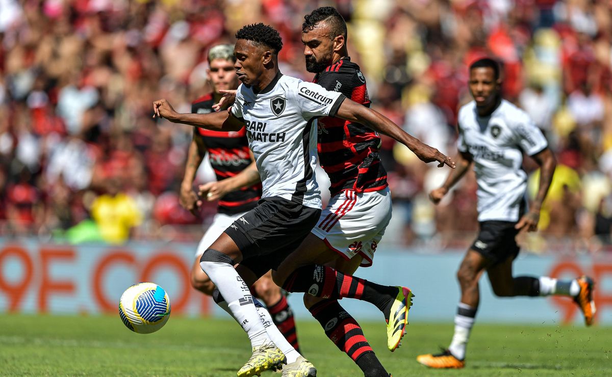 Especialistas revelam que Botafogo deve vencer Flamengo no Brasileirão