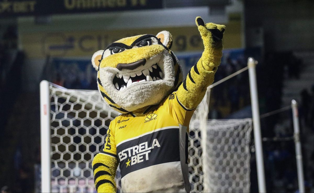 Mascote do Criciúma Provoca Jogadores do Corinthians em Jogo Oficial
