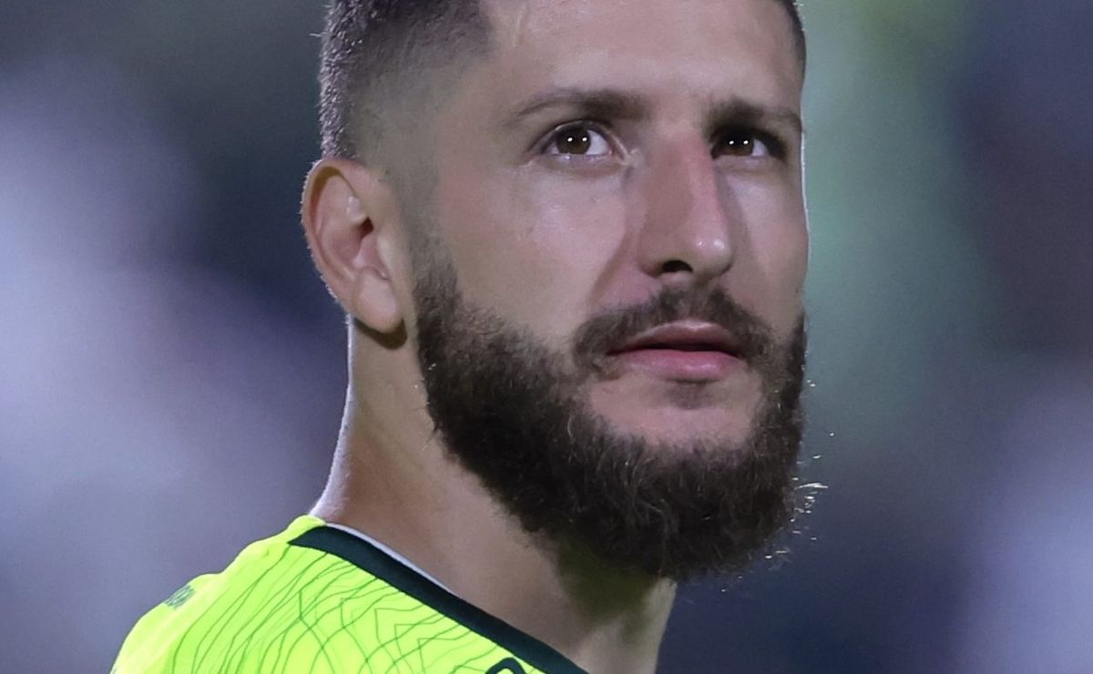 Santos na disputa por Zé Rafael com Fluminense e Bahia.