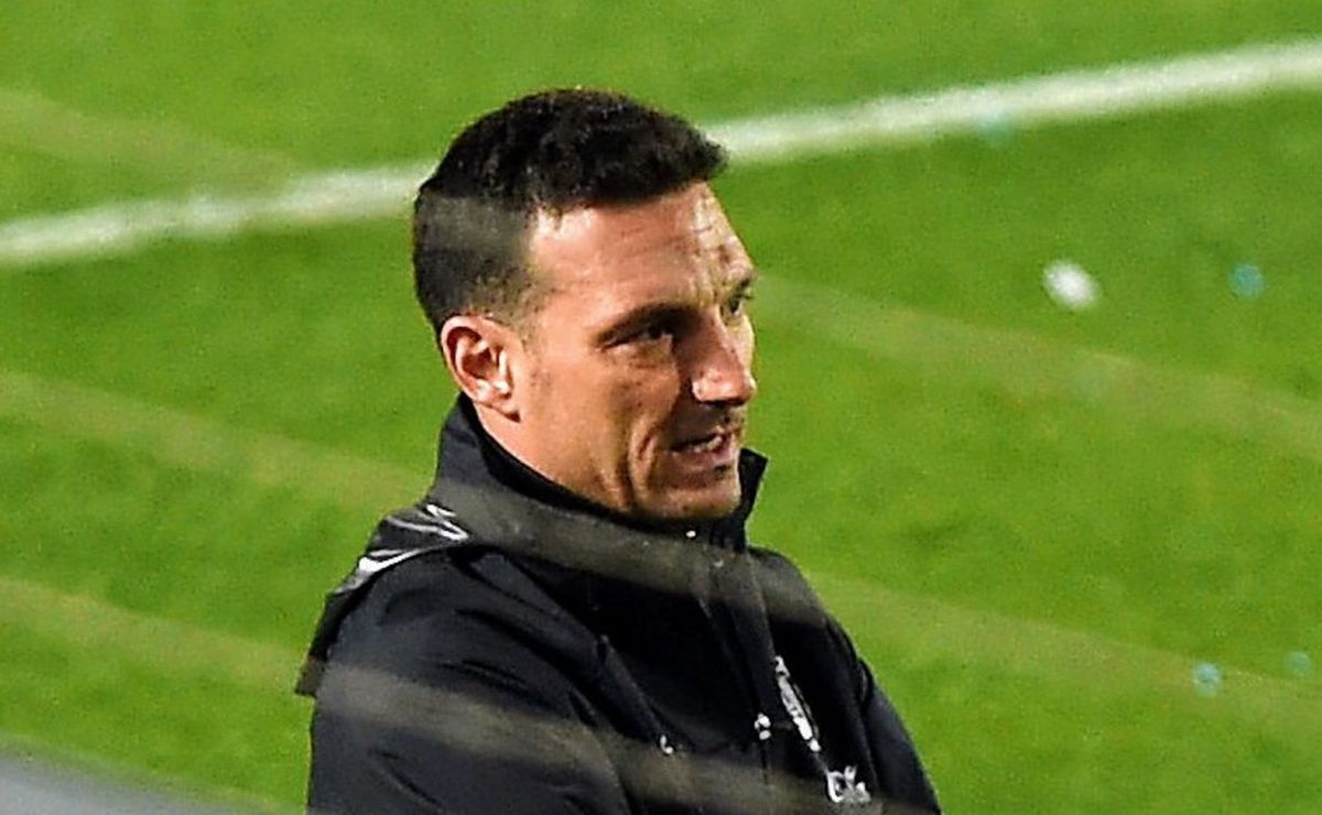 Técnico da Argentina, Lionel Scaloni descarta que vá assumir a Seleção Brasileira: “Eu não”