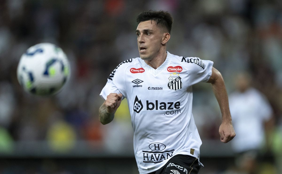 Santos bate recorde do Palmeiras na temporada e lota o Allianz Parque