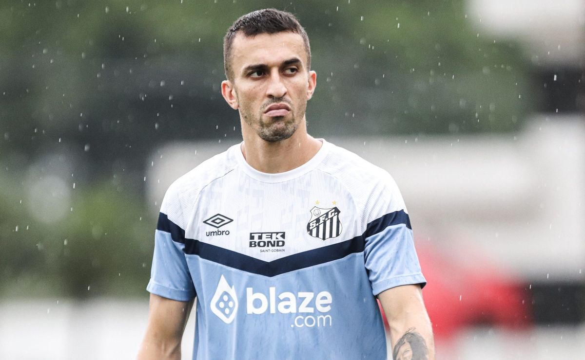Torcedores do Santos classificam primeiro semestre de João Schmidt como regular