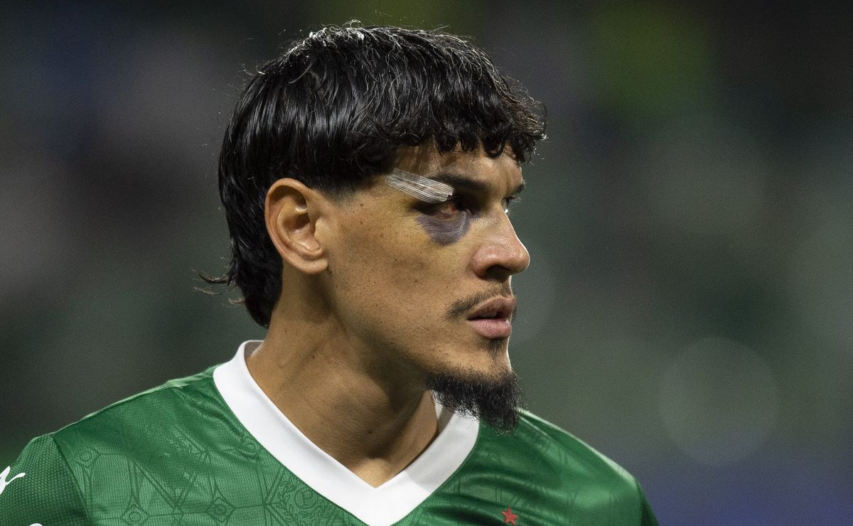 Gustavo Gómez e Facundo Torres devem se sacrificar pelo Palmeiras e forçar suspensão contra Mirassol
