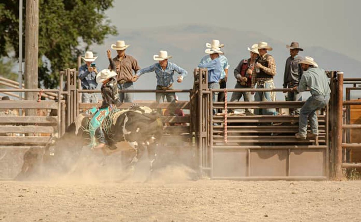 Como apostar em vaquejada? Melhore sites e dicas