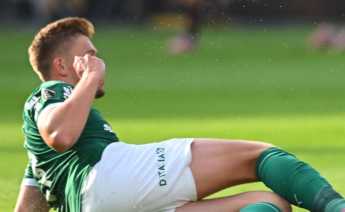 Palmeiras reclama de arbitragem nos primeiros minutos da final da Libertadores contra o Flamengo