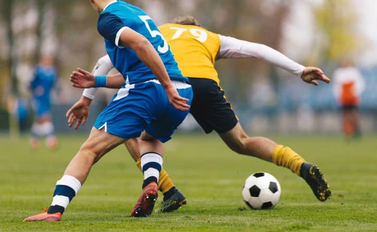 Odds Campeonato Paulista 2026: Palmeiras é favorito