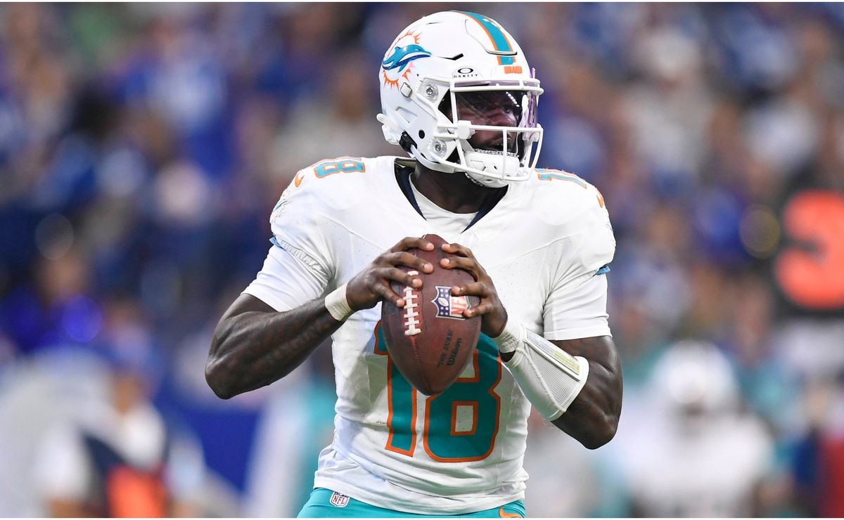 Where to watch Miami Dolphins vs Arizona Cardinals for free in the USA: 2024 NFL Regular Season Game