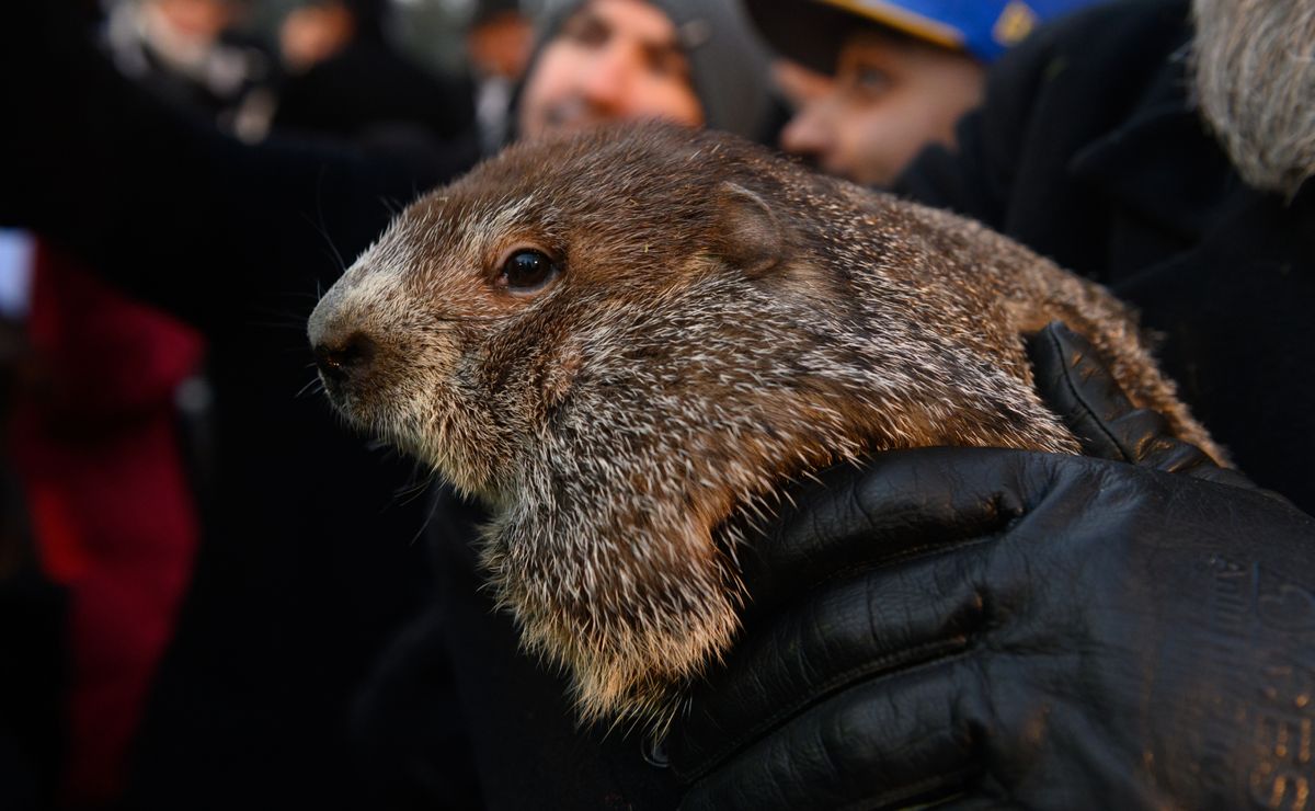 When is Grounhog Day 2025? All you need to know about this tradition