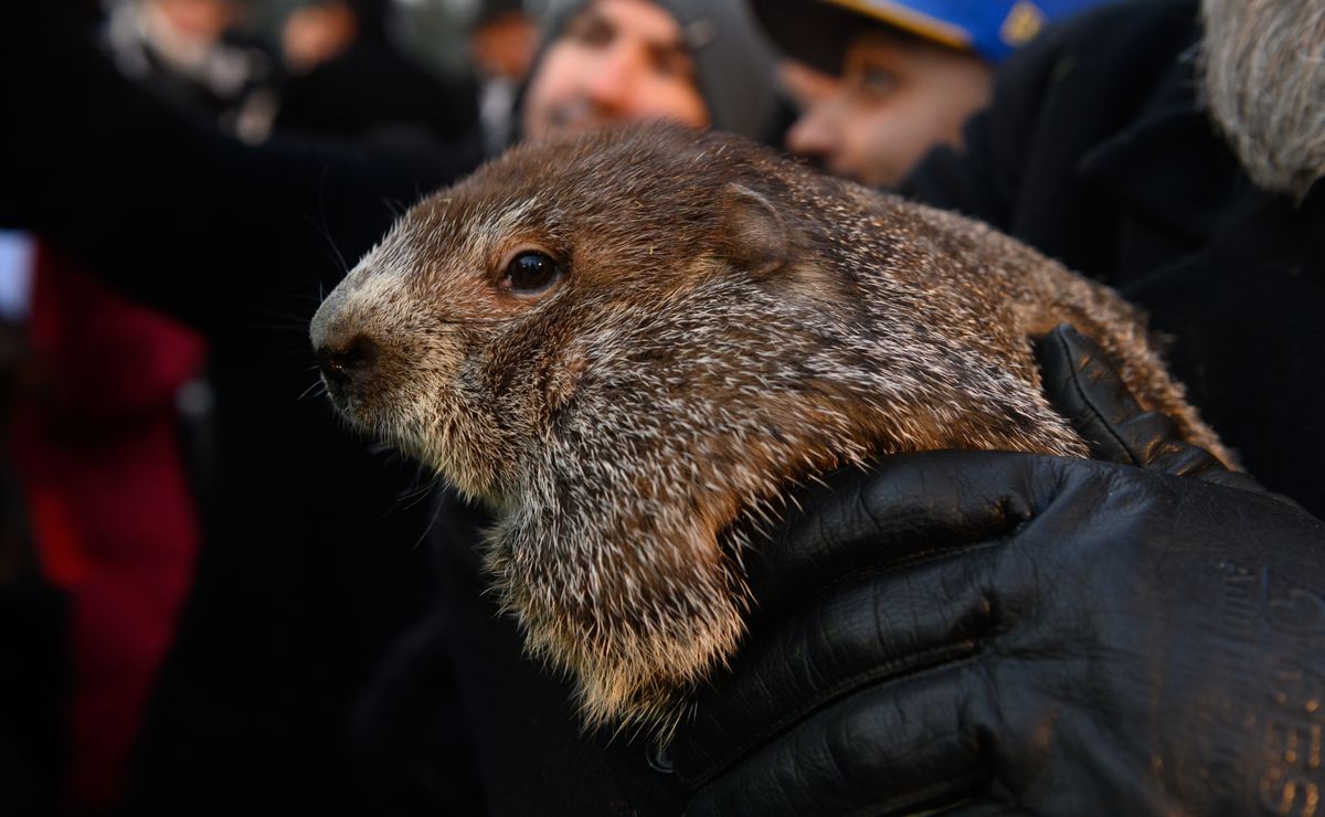 When is Grounhog Day 2024? All you need to know about this tradition