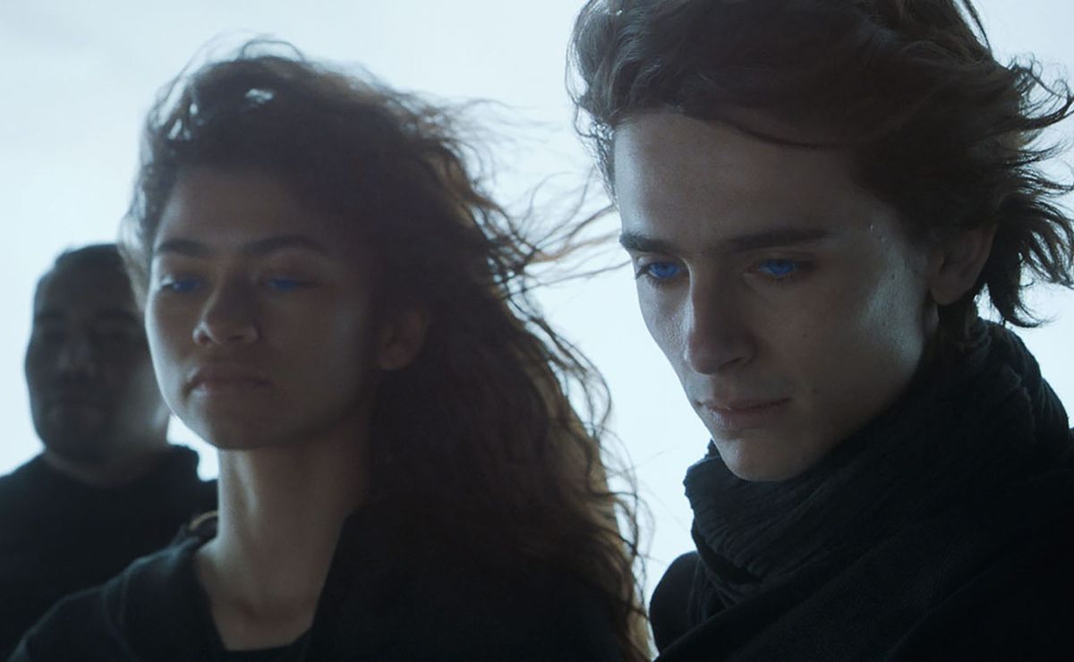 Zendaya, Timothée Chalamet y Florence Pugh visitarán México de la mano de Duna 2