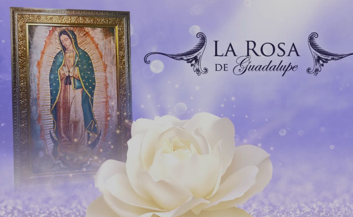 La Rosa de Guadalupe: ¿Dónde ver completos los capítulos GRATIS online?