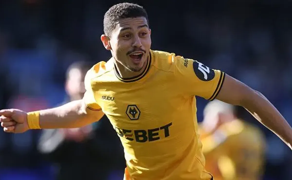 image para ilustrar o artigo