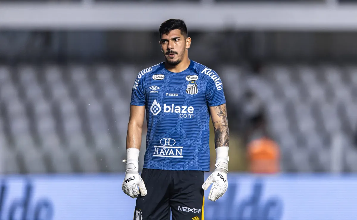 image para ilustrar o artigo