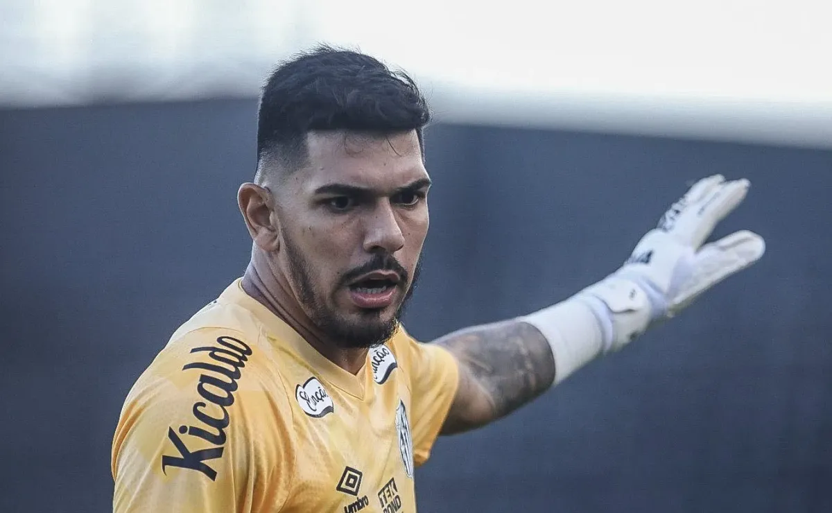 image para ilustrar o artigo