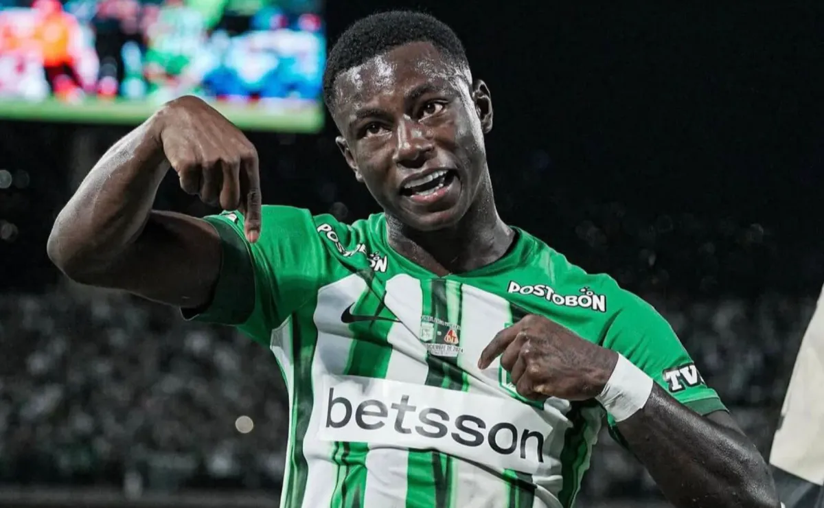 image para ilustrar o artigo