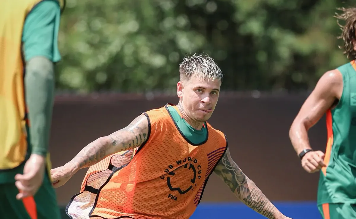 image para ilustrar o artigo