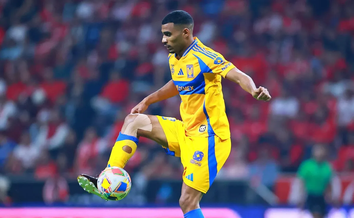 image para ilustrar o artigo