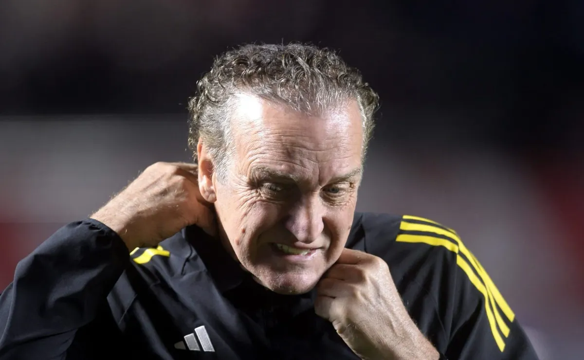 image para ilustrar o artigo