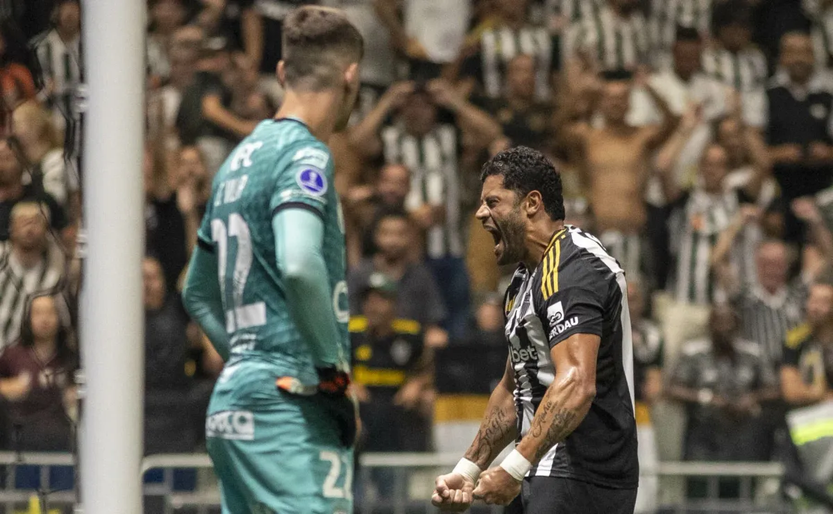 image para ilustrar o artigo